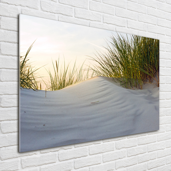 Quadro in verde Dune costiere