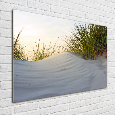 Quadro in verde Dune costiere