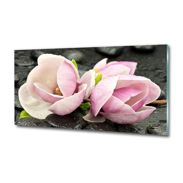 Quadro su vetro Pietra zen di magnolia