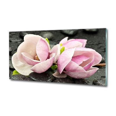 Quadro su vetro Pietra zen di magnolia