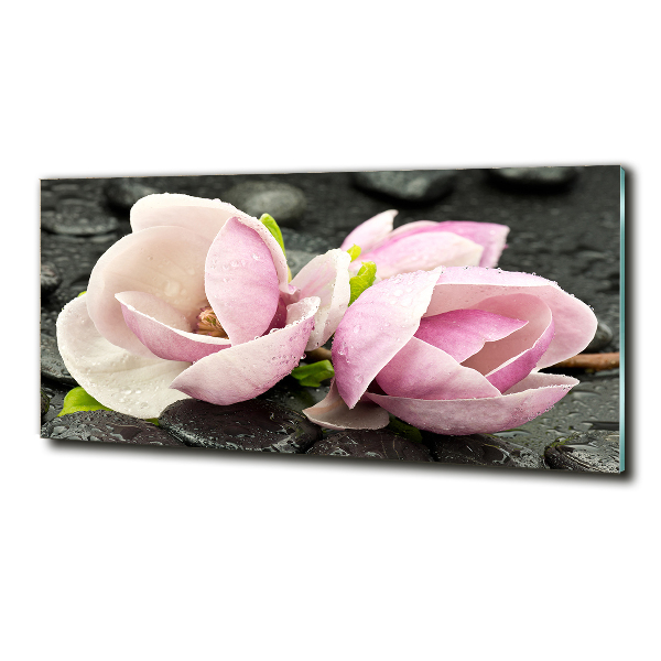 Quadro su vetro Pietra zen di magnolia