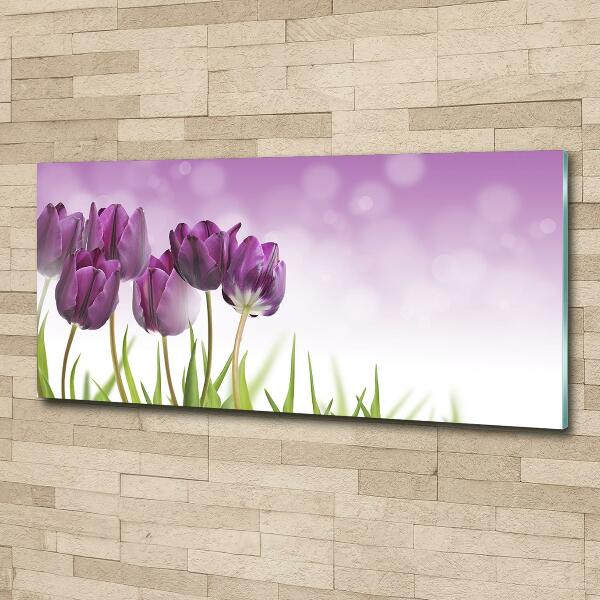 Quadro vetro Tulipani viola