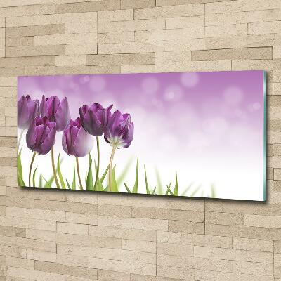 Quadro vetro Tulipani viola