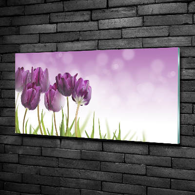 Quadro vetro Tulipani viola