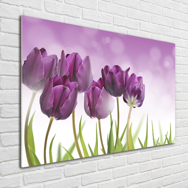 Quadro vetro Tulipani viola