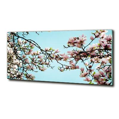 Quadro in vetro Fiori di magnolia