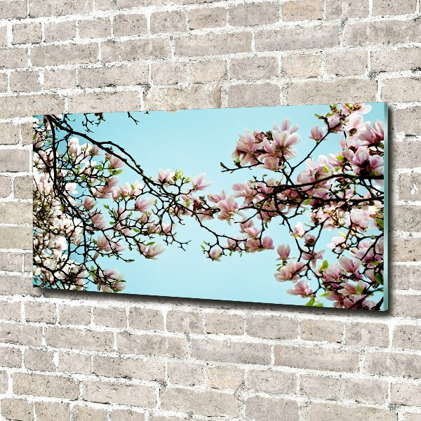 Quadro in vetro Fiori di magnolia