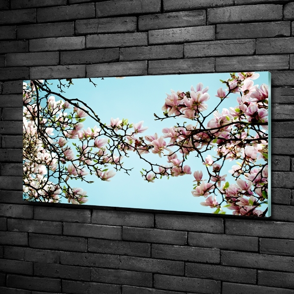 Quadro in vetro Fiori di magnolia