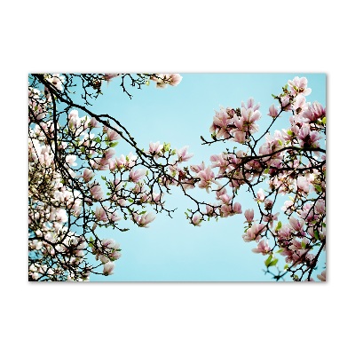 Quadro in vetro Fiori di magnolia