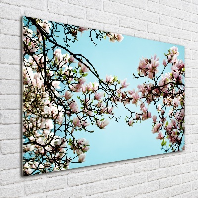 Quadro in vetro Fiori di magnolia