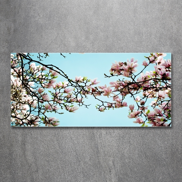 Quadro in vetro Fiori di magnolia