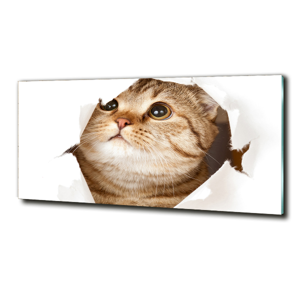 Quadro su vetro Gatto