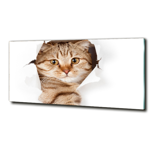 Quadro vetro Gatto
