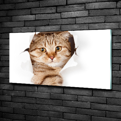 Quadro vetro Gatto