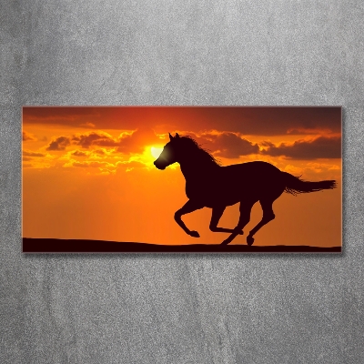 Quadro in verde Tramonto a cavallo