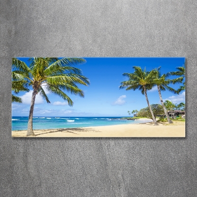 Quadro in vetro Spiaggia tropicale