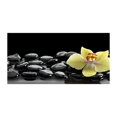 Quadro su vetro Orchidea