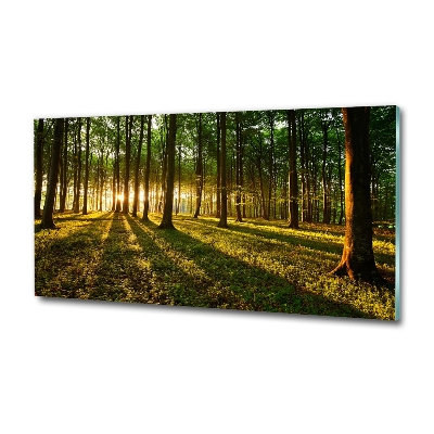 Quadro in verde Raggi di sole