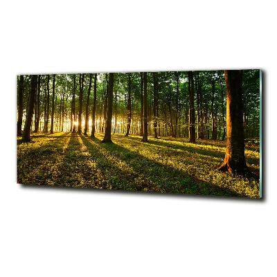 Quadro in verde Raggi di sole