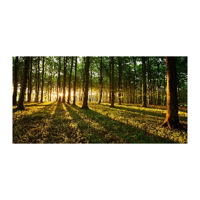 Quadro in verde Raggi di sole