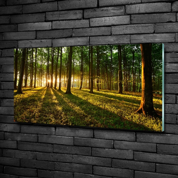 Quadro in verde Raggi di sole