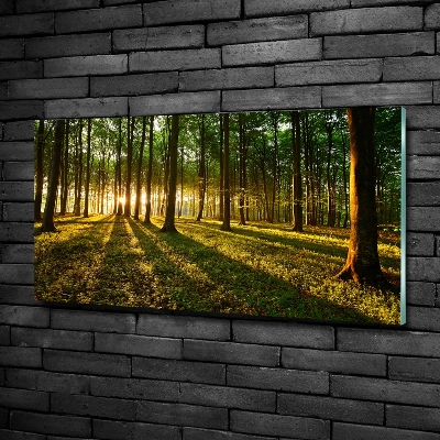 Quadro in verde Raggi di sole