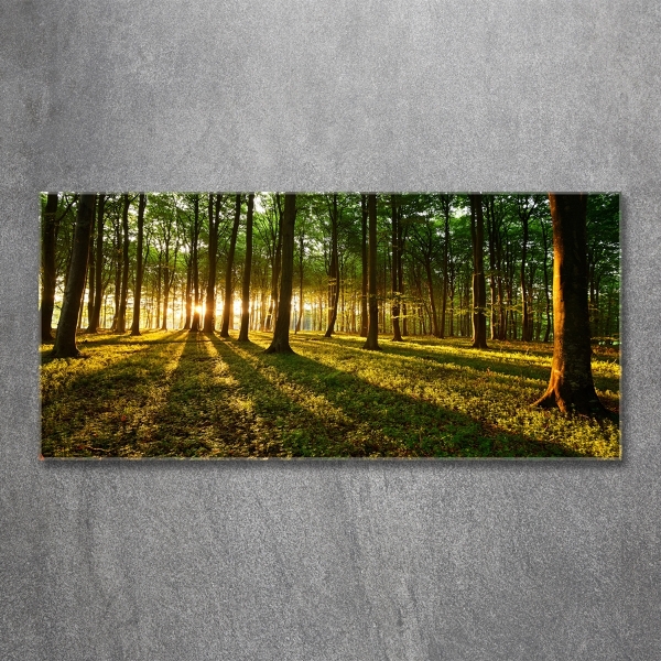 Quadro in verde Raggi di sole