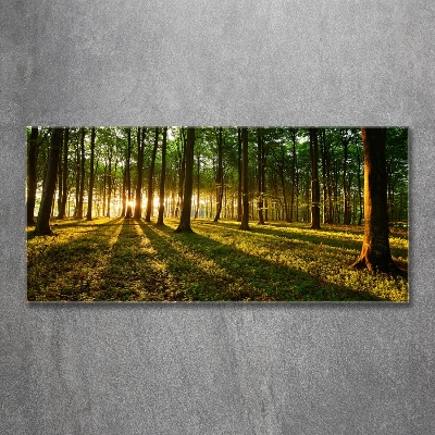 Quadro in verde Raggi di sole