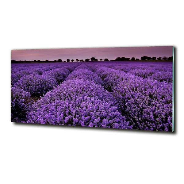 Quadro su vetro Campo di lavanda