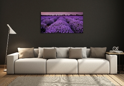 Quadro su vetro Campo di lavanda