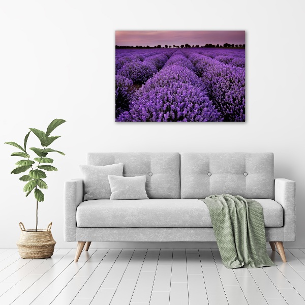 Quadro su vetro Campo di lavanda