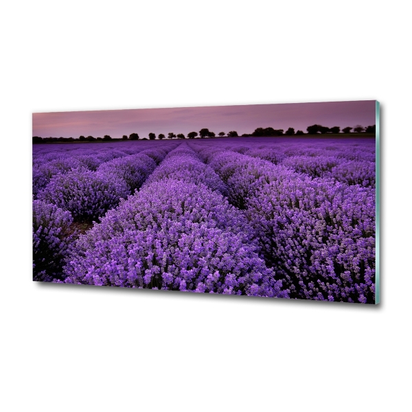 Quadro su vetro Campo di lavanda
