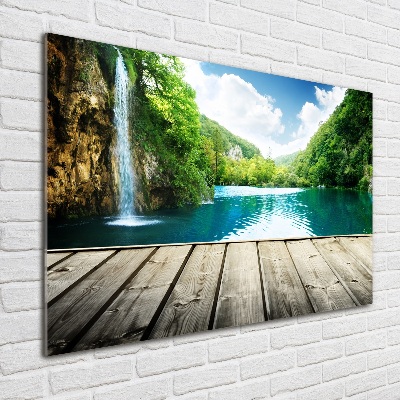 Quadro vetro Cascata nella foresta