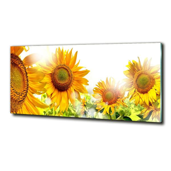 Quadro su vetro Girasoli