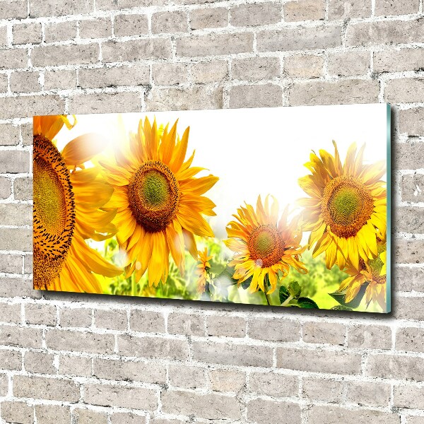 Quadro su vetro Girasoli