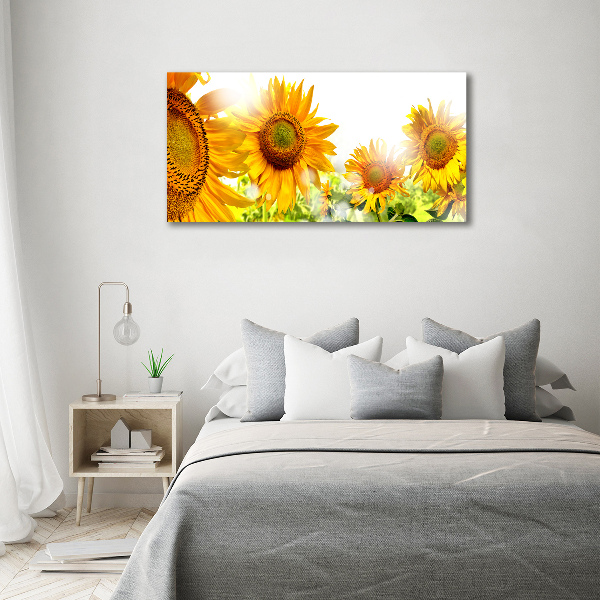 Quadro su vetro Girasoli