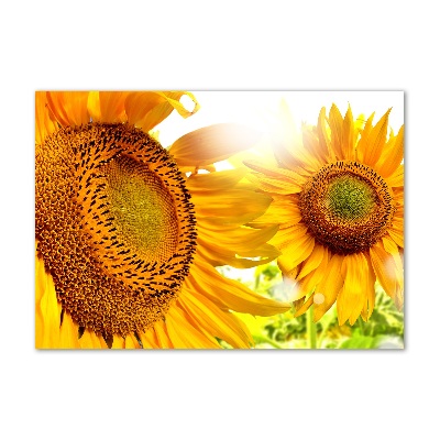 Quadro su vetro Girasoli