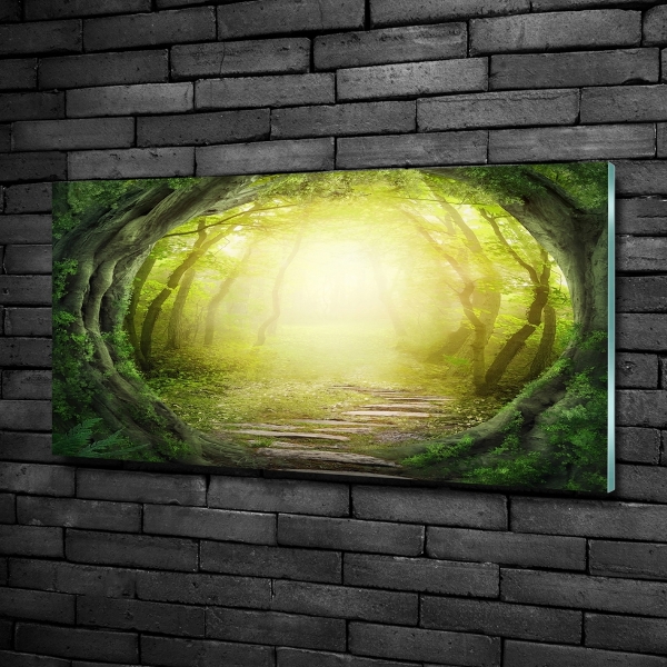 Quadro vetro Tunnel tra gli alberi