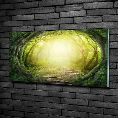 Quadro vetro Tunnel tra gli alberi