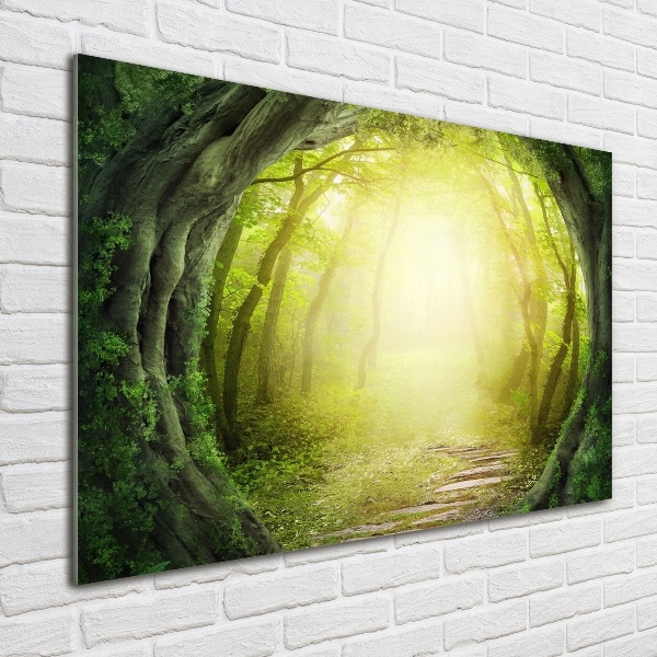 Quadro vetro Tunnel tra gli alberi