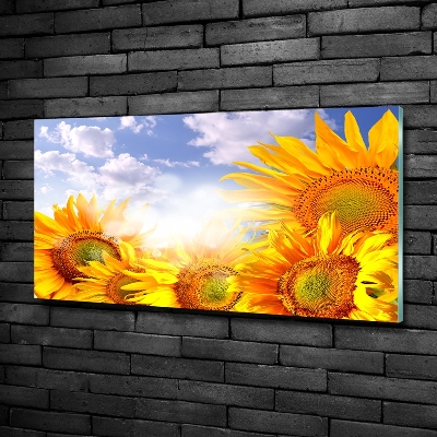 Quadro in vetro Girasoli