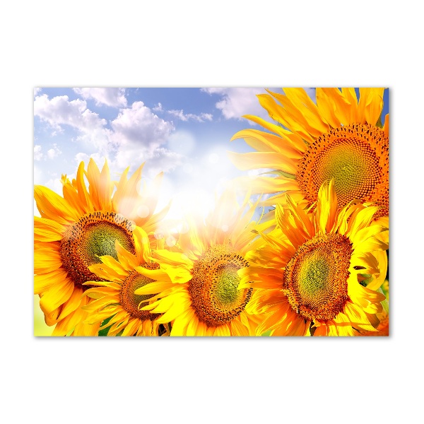 Quadro in vetro Girasoli