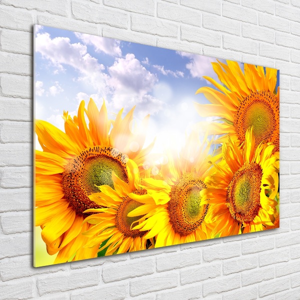 Quadro in vetro Girasoli
