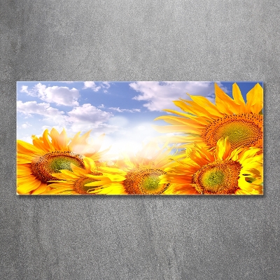 Quadro in vetro Girasoli