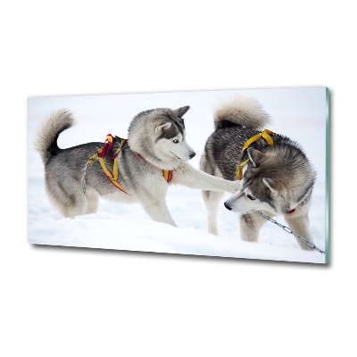 Quadro su vetro Husky in inverno