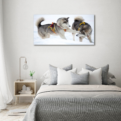 Quadro su vetro Husky in inverno