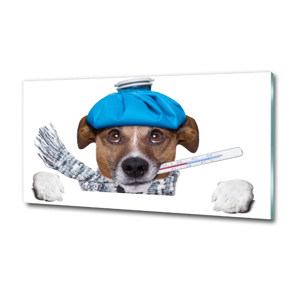 Quadro vetro Cane malato