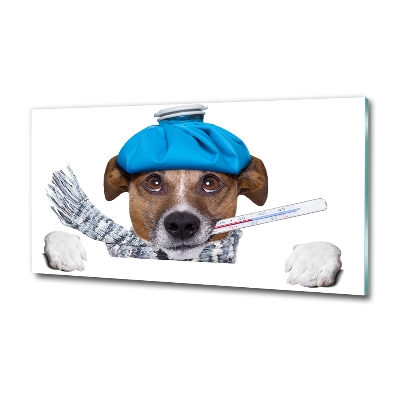Quadro vetro Cane malato