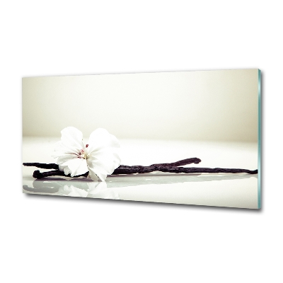 Quadro vetro Baccello di vaniglia