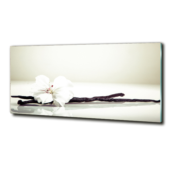 Quadro vetro Baccello di vaniglia